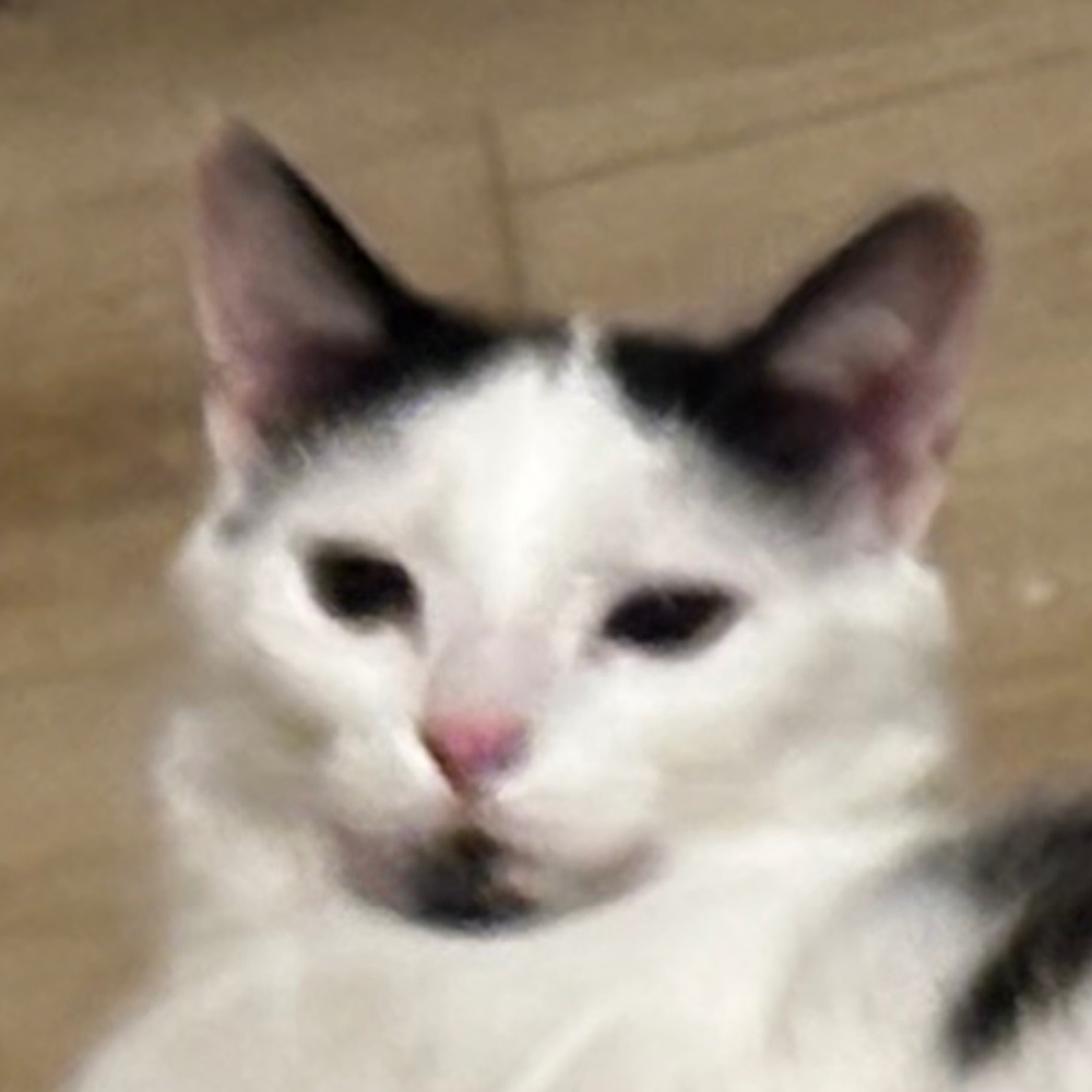 Meet your Posher, Makaylee